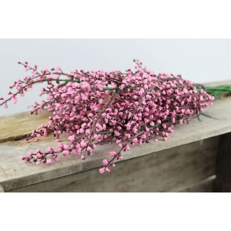 Rózsaszín mű seprűzanót (cytisus) - 45 cm