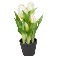 Fehér cserepes élethű műtulipán - 23 cm