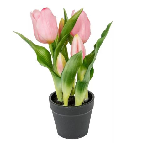 Rózsaszín cserepes élethű műtulipán - 23 cm