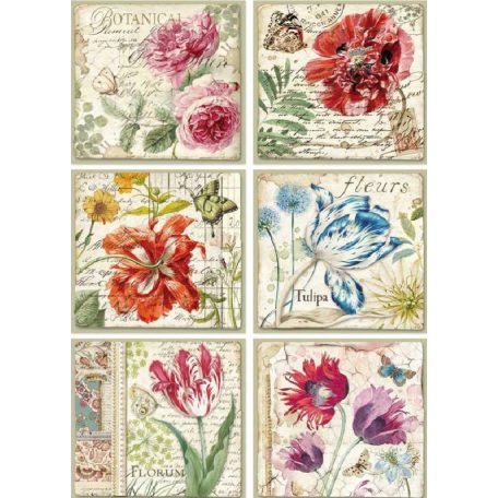 Stamperia rizspapír Botanic Floer cards - A4 - DFSA-4383