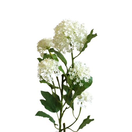 Fehér mű viburnum - 67 cm