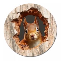    Nyomtatott fa tábla koszorú közép - Kíváncsi mókus - 11,8 cm