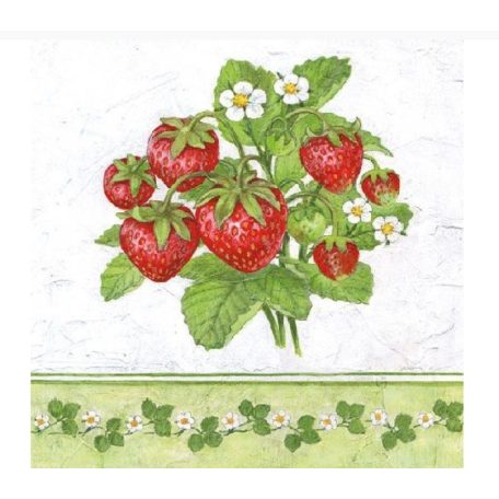 Ambiente Season Fruit papírszalvéta 33x33cm - 20db-os