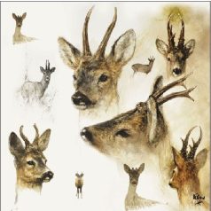   Ambiente papírszalvéta - Portraits of Deer - 33x33 cm - 20 db/csomag