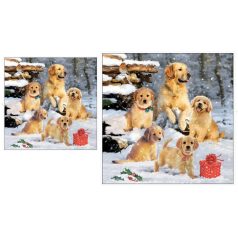   Ambiente papírszalvéta - Golden retriever puppies - 25x25 cm, 33x33 cm - 20 db/csomag