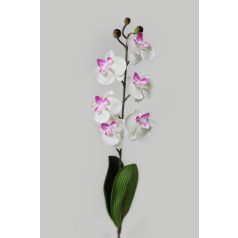 Fehér mű orchidea, levelekkel - 45 cm