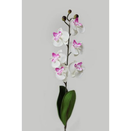 Fehér mű orchidea, levelekkel - 45 cm