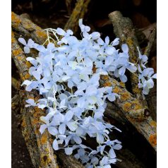  Bókoló virágos ág - Kék - 115 cm 