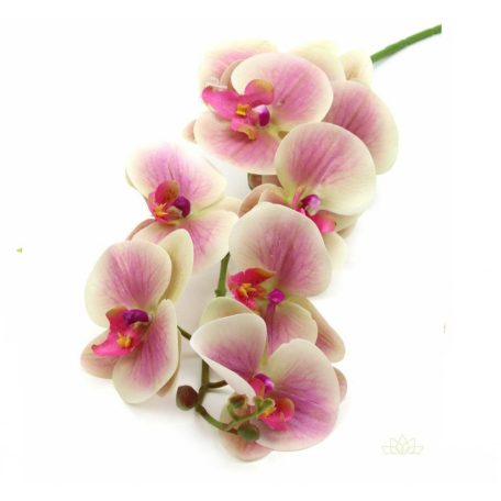 9 fejes phalenopsis ág - Krém-pink - 100 cm 