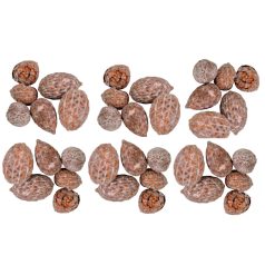 Cane fruit termés - Old pink - 17 dkg/csomag 